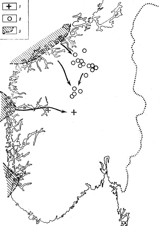 . 18.      ( . ). 1 - Papaver relictum; 2 - P. Nordhagenianum subsp, ovatilobum; 3 -    